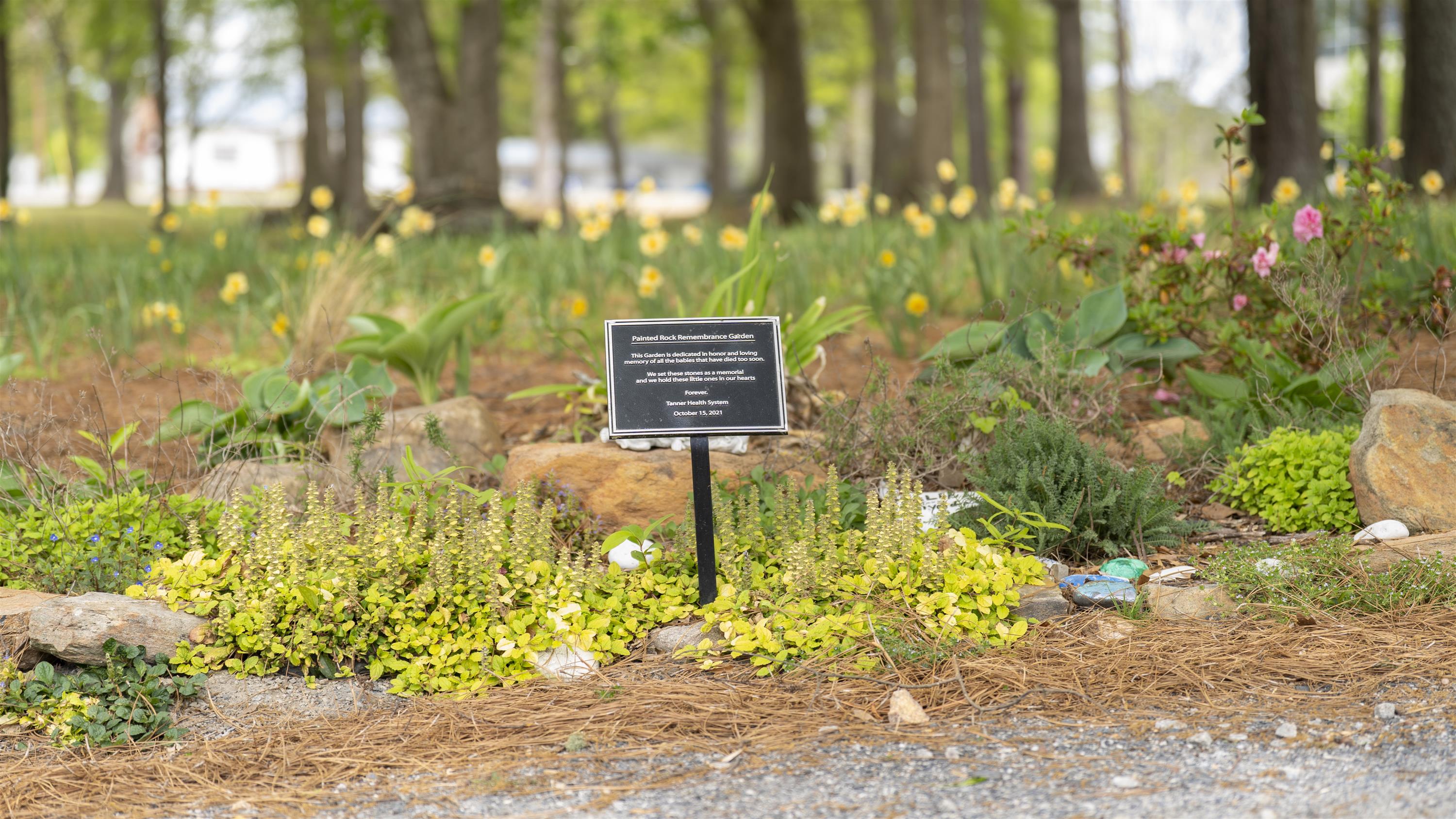 Painted Rock Remembrance Garden